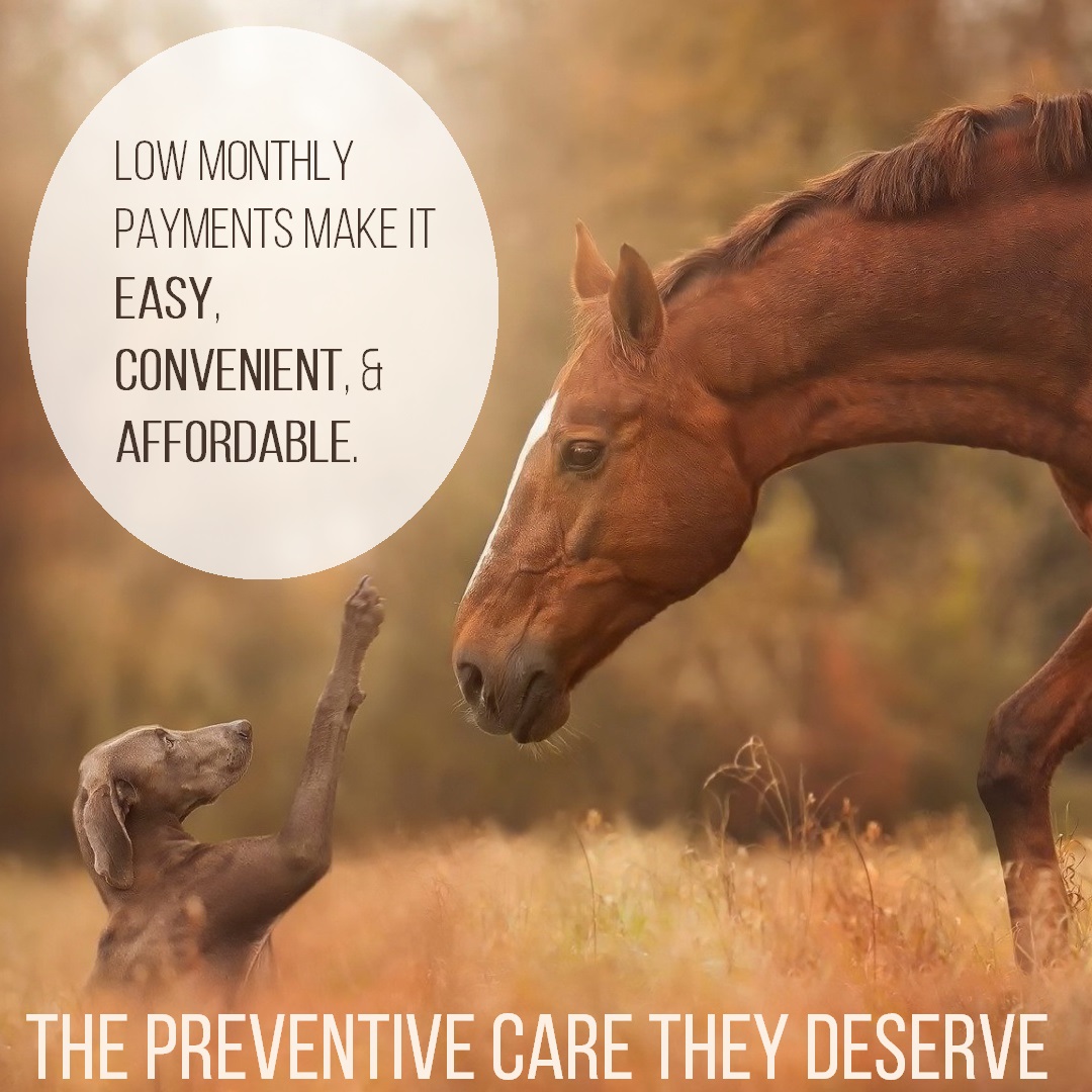 The Preventive Care They Deserve