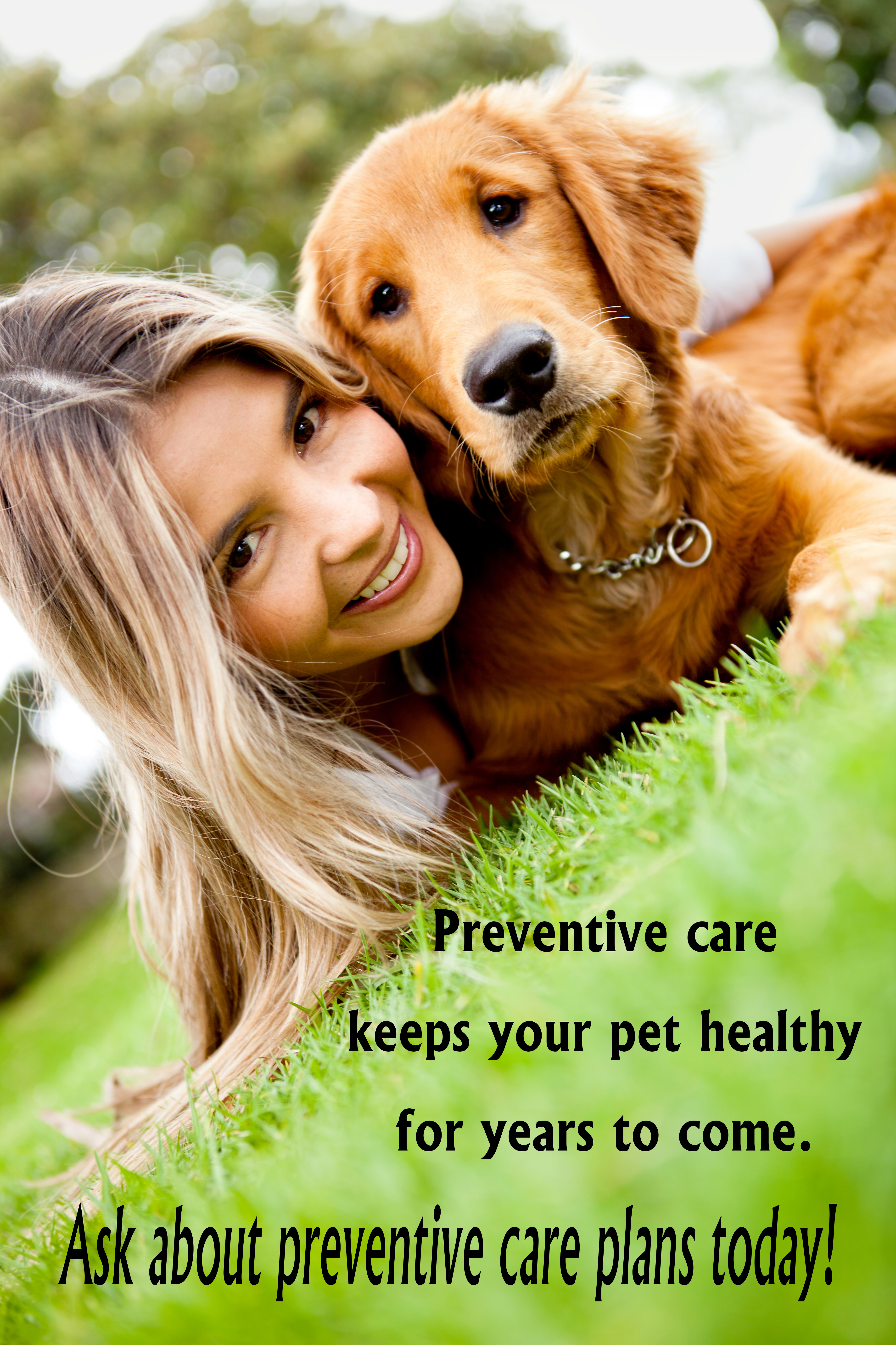 Preventive Care for Dogs